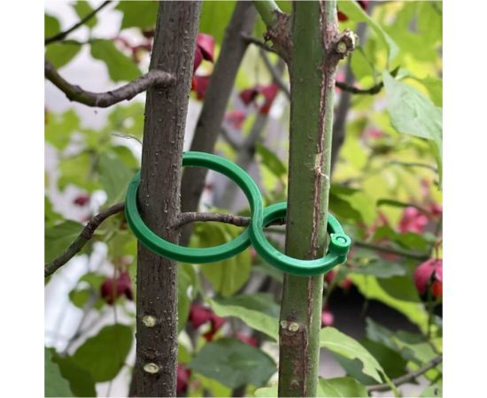 Набор зажимов для подвязки растений МУЛЬТИДОМ 20 шт., 6x4 см VL83-221 – изображение 4