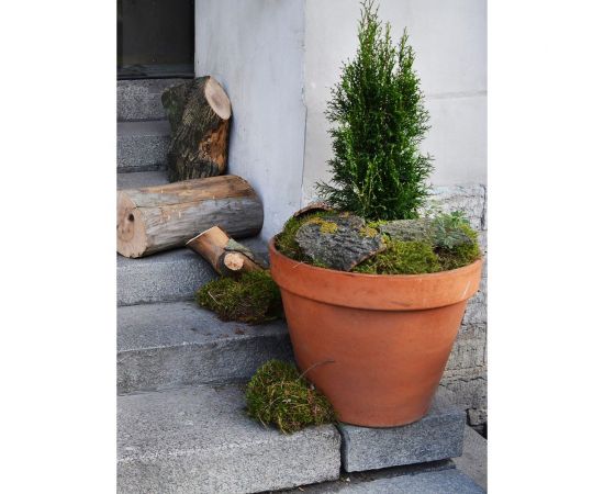 Горшок Deroma vaso диам. 27 cм 01270SZ – изображение 5