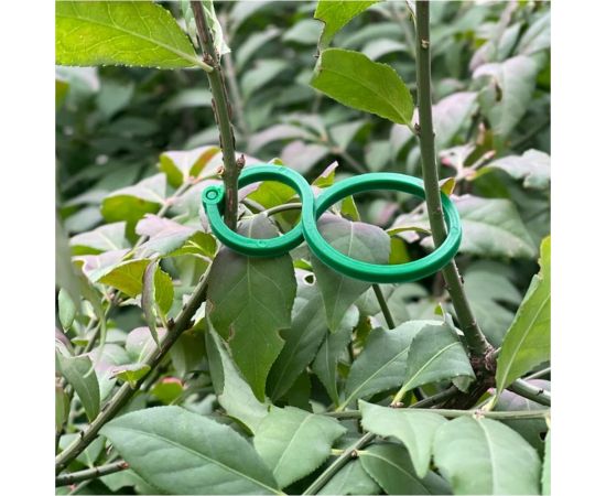 Набор зажимов для подвязки растений МУЛЬТИДОМ 20 шт., 6x4 см VL83-221 – изображение 5