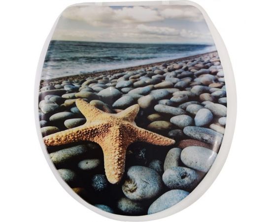 Сиденье для унитаза Аквалиния Морская звезда SK-06017 