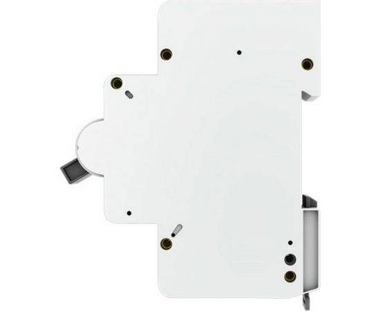 Автоматический выключатель EKF 2P 100А 15кА ВА 47-125 PROxima SQmcb47125-2-100C – изображение 3