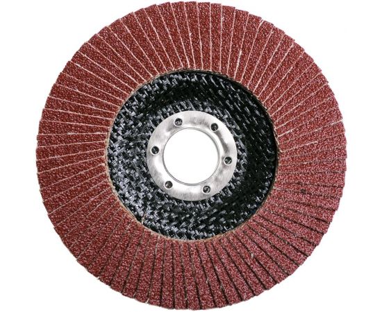 Круг лепестковый плоский Pro (125х22 мм; Р40) Flexione 10000695 – изображение 2