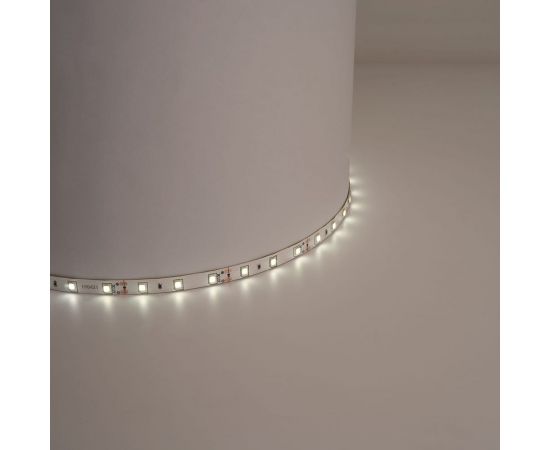 Лента FERON LEDх60/м, 5м, 4.8w/m, 12в, IP65, теплый белый/основной белый 27640 – изображение 2