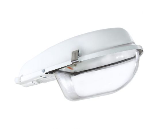 Светильник TDM НКУ 97-300-002 Е40 со стеклом SQ0318-0059 