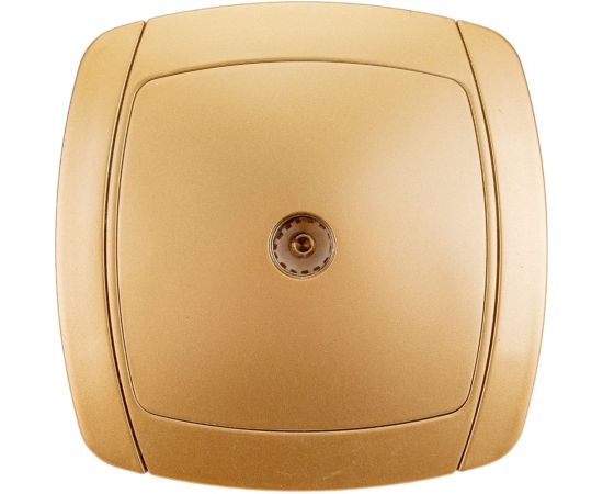 Одинарная телевизионная розетка СВЕТОЗАР АКЦЕНТ SV-54215-GM 