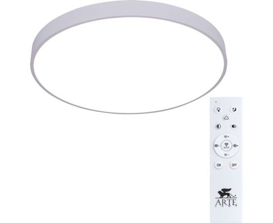 Потолочный светильник Arte Lamp ARENA A2671PL-1WH 