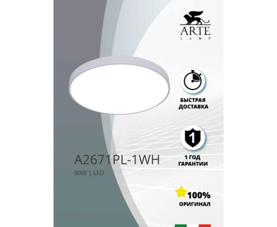 Потолочный светильник Arte Lamp ARENA A2671PL-1WH – изображение 2
