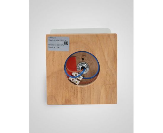 Потолочный светильник Мелодия Света 6424-1SP NL 000036813 – изображение 2