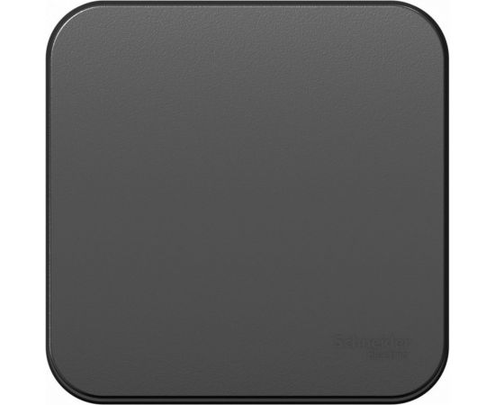 1-клавишный переключатель Schneider Electric Blanca наружный Антрацит 10А, 250B SE BLNVA106016 – изображение 2