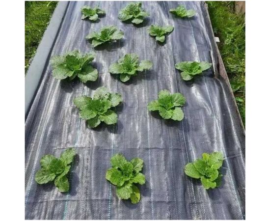 Агроткань 90 г/м, 1.05x10 м ООО КЗНМ 530127 – изображение 2