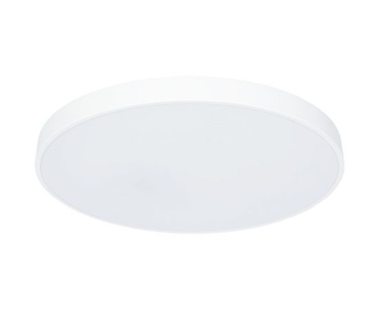 Потолочный светильник Arte Lamp ARENA A2671PL-1WH – изображение 4