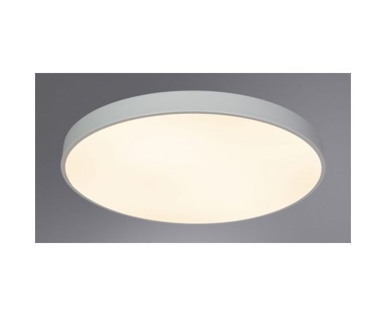 Потолочный светильник Arte Lamp ARENA A2671PL-1WH – изображение 5