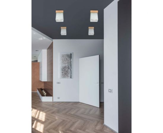 Потолочный светильник Мелодия Света 6424-1SP NL 000036813 – изображение 5