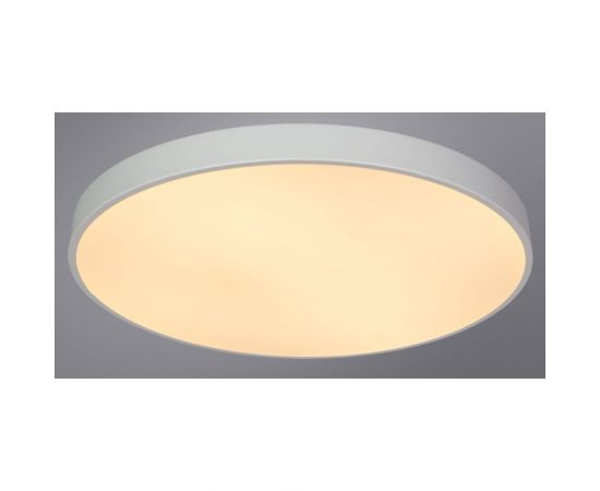 Потолочный светильник Arte Lamp ARENA A2671PL-1WH – изображение 6