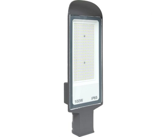 Светодиодный консольный светильник EKF ДКУ-8003-Д 100Вт 5000К IP65 PROxima SLL-8003-100-5000 