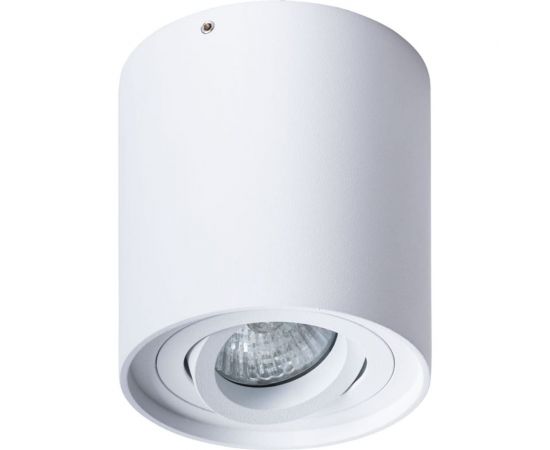 Потолочный светильник Arte Lamp FALCON A5645PL-1WH 