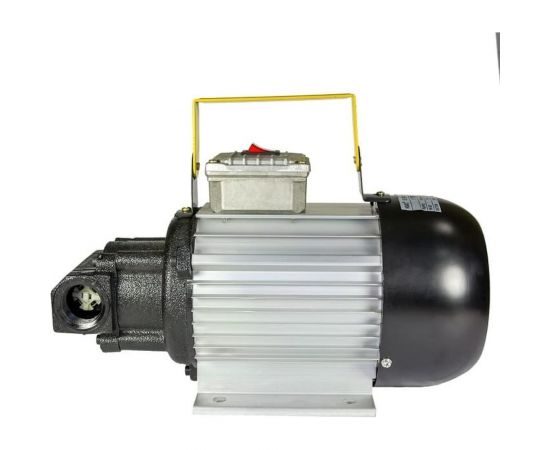 Электрический насос ООО Петролл petroll lunar-70 220 В, 70 л/м 8029 – изображение 2