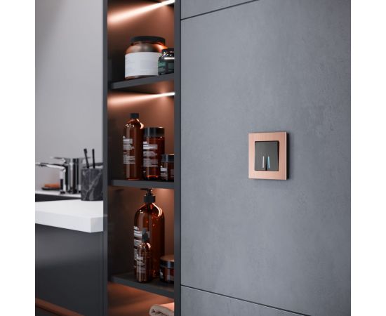 Рамка WERKEL W0011712 на 1 пост Aluminium бронза a058760 – изображение 3