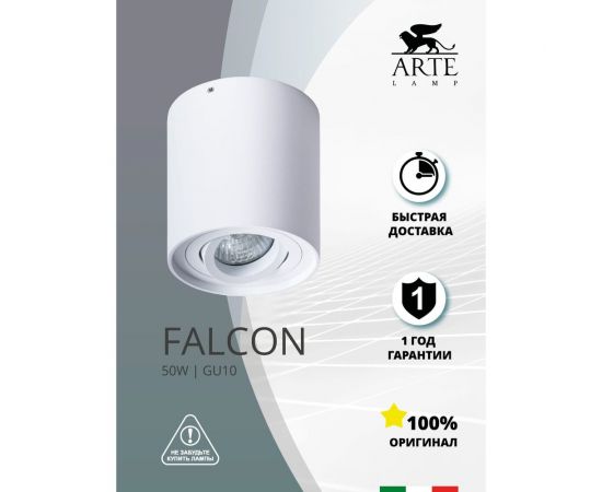 Потолочный светильник Arte Lamp FALCON A5645PL-1WH – изображение 3