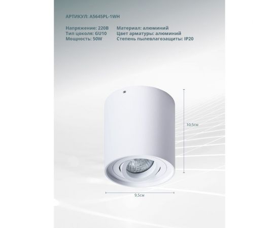 Потолочный светильник Arte Lamp FALCON A5645PL-1WH – изображение 4