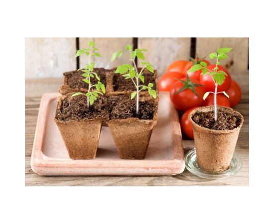 Грунт Сила Суздаля для рассады 10 л 4680004060420 – изображение 3