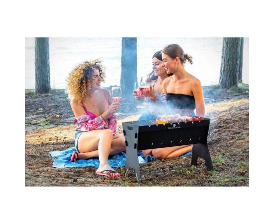 Разборный мангал FIRE-HOUSE Пикник Ma-пикник – изображение 3