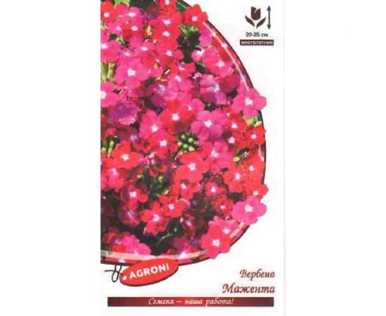 Семена Агрони Вербена гибридная МАЖЕНТА 65879 