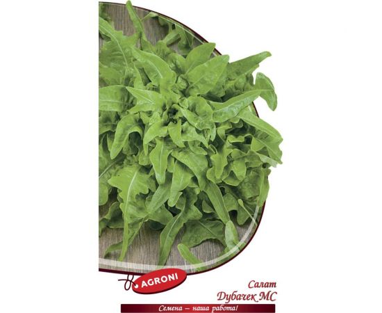 Семена Агрони Салат Дубачек МС 0.5 г 4490 