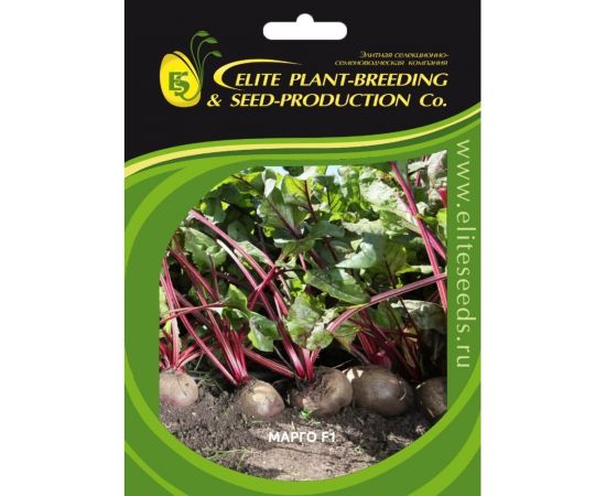 Марго F1 семена свеклы столовой 40 г ЭС ELITE PLANT-BREEDING & SEED PRODUCTION Co. 1999947950 