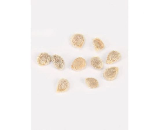 Семена Детская грядка Томат Падишах 0.03 г 124370 – изображение 3