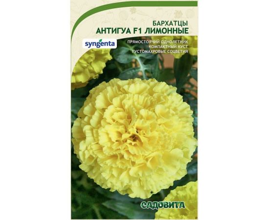 Семена Садовита Бархатцы Антигуа F1 Лимонные 5 шт. Syngenta 00224002 