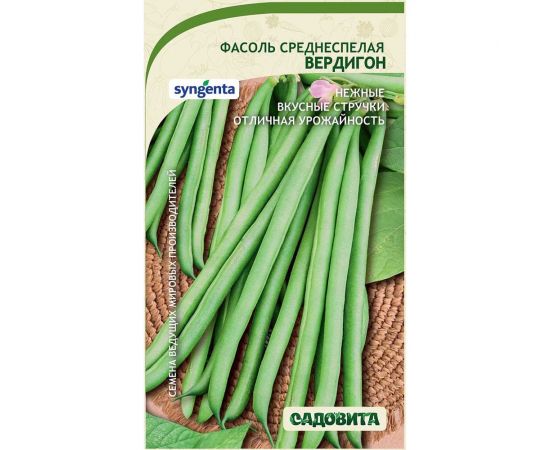 Семена Садовита Фасоль Вердигон 10 шт. Syngenta 00216576 