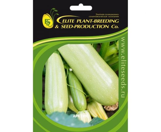 Арктик семена кабачка 20 шт ЭС мини ELITE PLANT-BREEDING & SEED PRODUCTION Co. 1026995337 