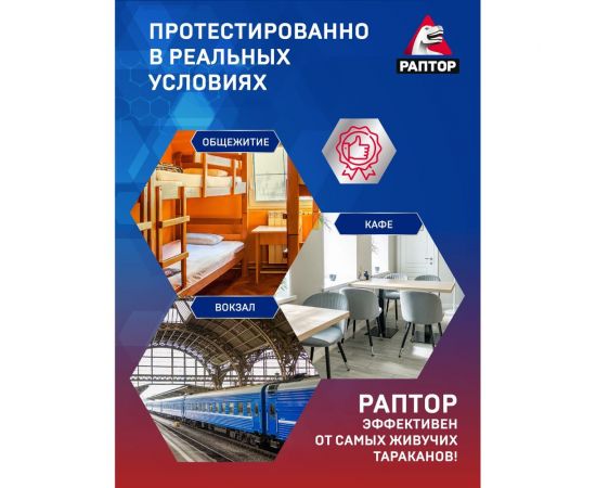 Средство инсектицидное от ползающих насекомых в контейнере 20 шт РАПТОР RPT0001 – изображение 3