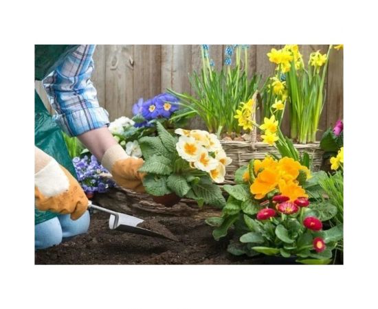 Грунт Сила Суздаля Цветы Black, 10 л 4680004061595 – изображение 4