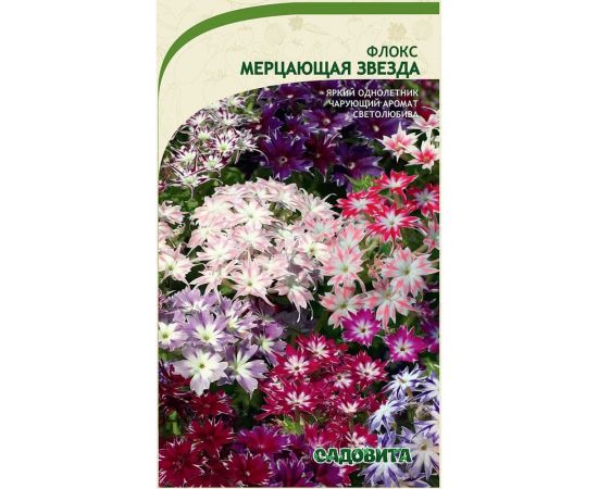 Семена Садовита Флокс Мерцающая звезда 0.2 г 00222869 