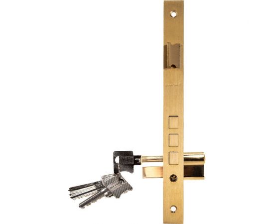 Врезной замок ARCHIE L01-45-70 B 903087023419 