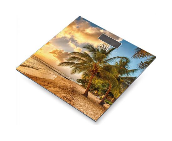 Напольные электронные весы Homestar STM-11 102276 