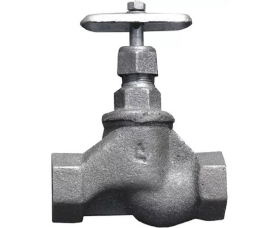 Клапан запорный DN.ru 15кч19п1 Ду32 Ру16 чугунный D090-00239 