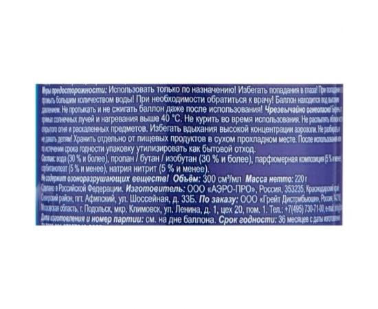 Освежитель воздуха Chirton Горная свежесть, 400 мл, водный 947464 – изображение 2