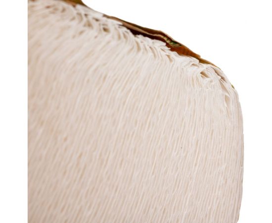 Бумажное полотенце FOCUS ECO листовое, 1-слой, 200 листов в упаковке, V-сложения, белое H-5049975 – изображение 3