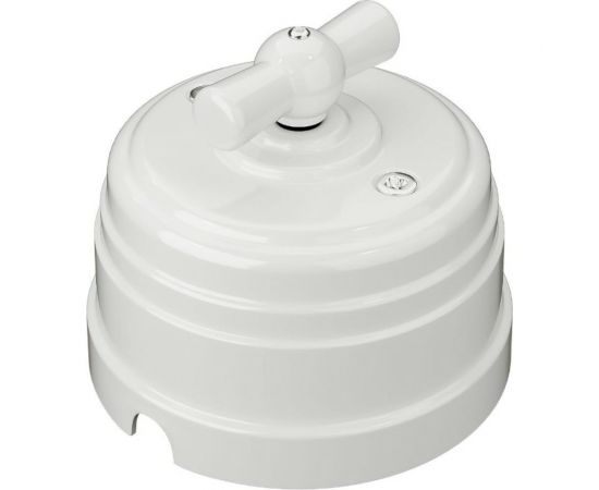 Выключатель МЕЗОНИНЪ пластиковый проходной 2 положения, цвет - белый GE30404-01 