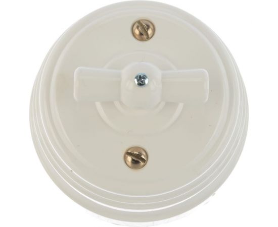 Выключатель МЕЗОНИНЪ пластиковый проходной 2 положения, цвет - белый GE30404-01 – изображение 2