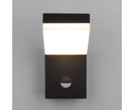 Садово-парковый светильник Elektrostandard 1541 TECHNO LED с датчиком движения чёрный a053946 – изображение 2