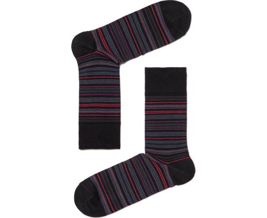 Мужские носки БРЕСТСКИЕ 2122 CLASSIC, р.29, 022 черный/темно-вишневый 11022105986022 