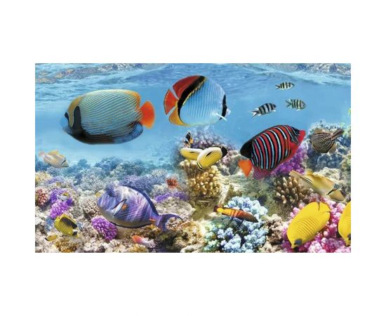 Панель для кухонного фартука ФАРТУКОФФ ФФ - 17 глянцевая, 1000x600x1.3 мм, фотопечать 35010170401 