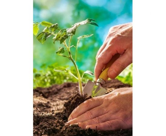 Грунт Сила Суздаля БП для рассады с перегноем 5 л 4680004060413 – изображение 4