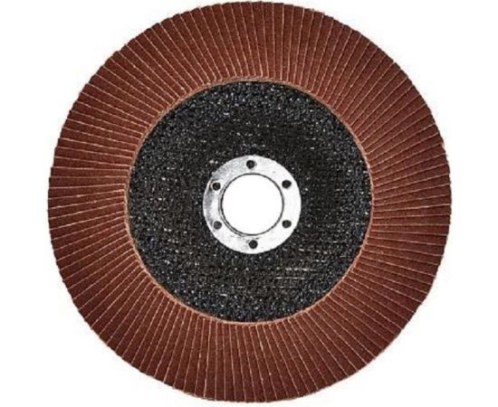 Круг лепестковый торцевой КЛТ1 125 мм, P36 TORGWIN T227787 