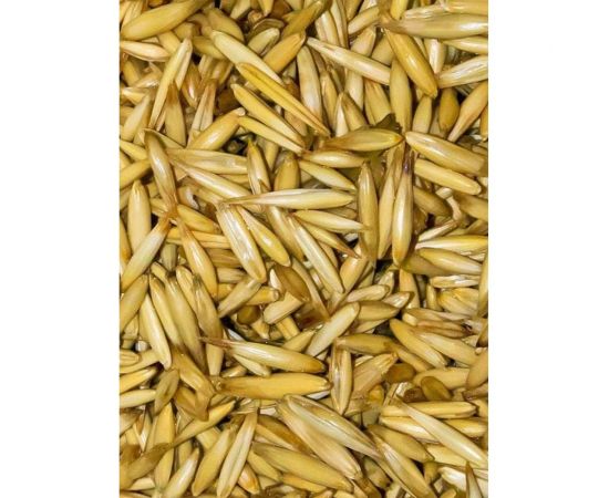 Зерно Сила Суздаля Овёс 5 кг 4680004063803 – изображение 13