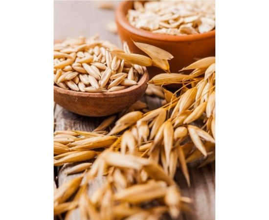 Зерно Сила Суздаля Овёс 5 кг 4680004063803 – изображение 14